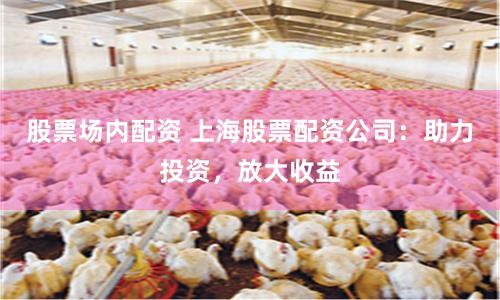股票场内配资 上海股票配资公司：助力投资，放大收益