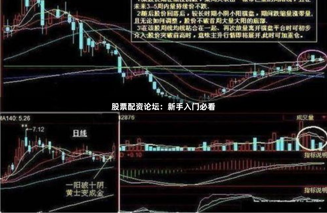 股票配资论坛：新手入门必看