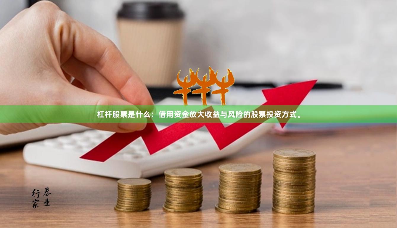 杠杆股票是什么:借用资金放大收益与风险的股票投资方式。